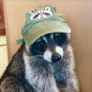 Meet your Posher, Freddy